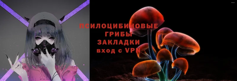 как найти   omg ССЫЛКА  Псилоцибиновые грибы Cubensis  Джанкой 